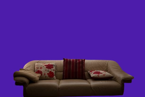 Which Type of Sofa Is Best for Living Room