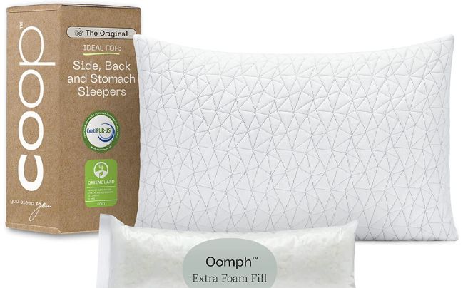 Water Pillow by Coop Home Goods