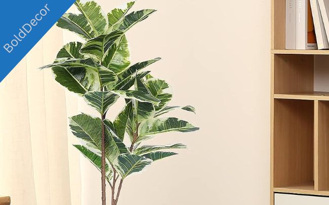 How to Choose Plants for Your Office